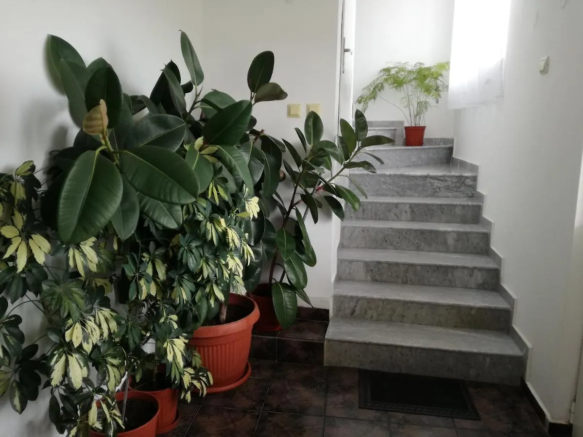 Tzonevi Guest House Σωζόπολη